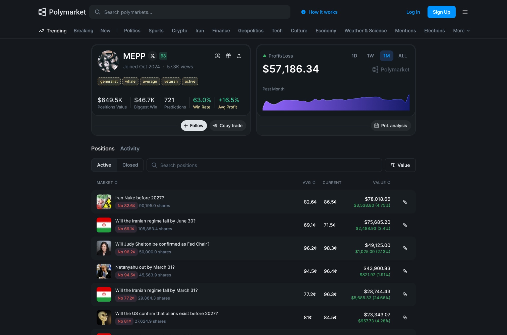 Portfolio — TPP